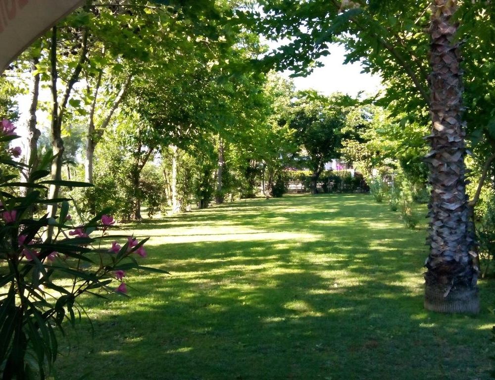 Outdoor Pictures 8