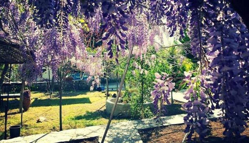 Outdoor Pictures 7