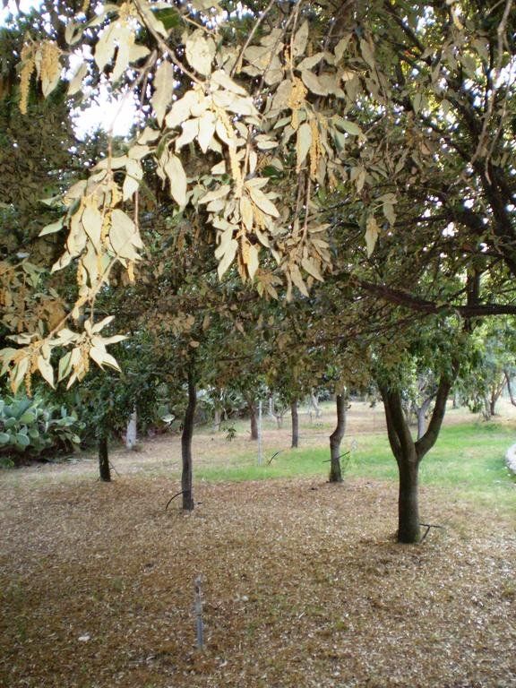 Outdoor Pictures 12