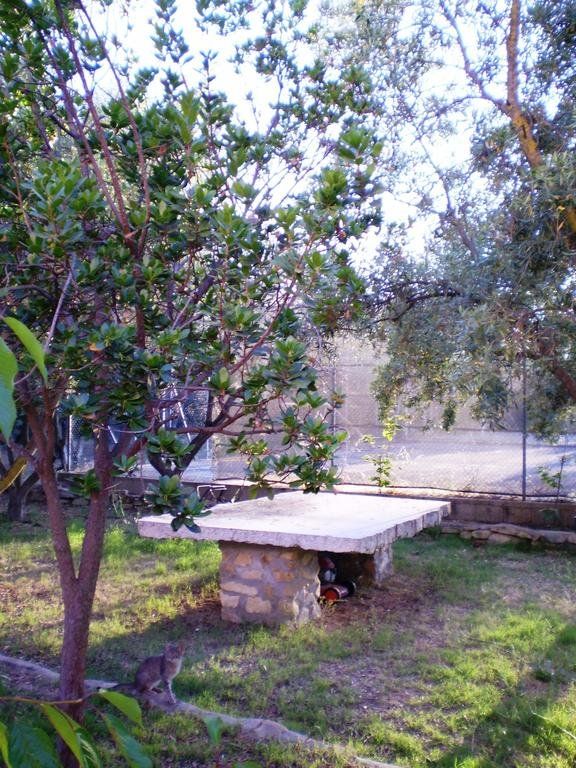 Outdoor Pictures 15