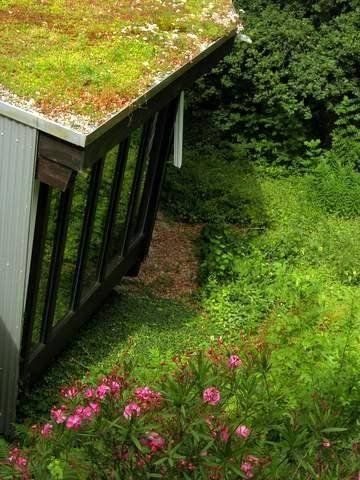 Outdoor Pictures 4