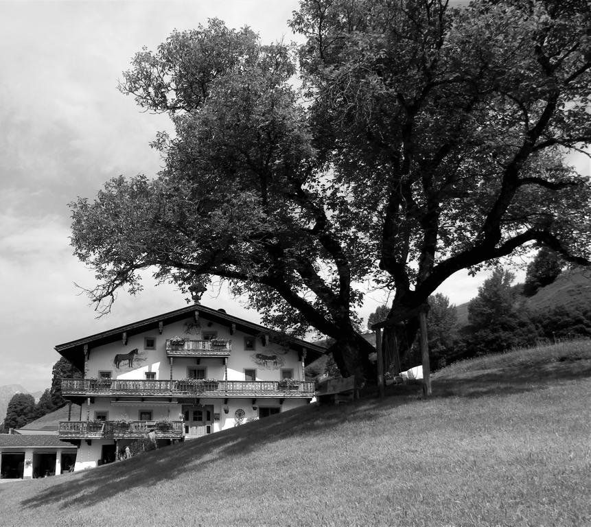 Outdoor Pictures 21