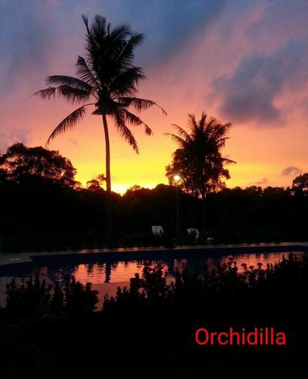 Outdoor Pictures 20