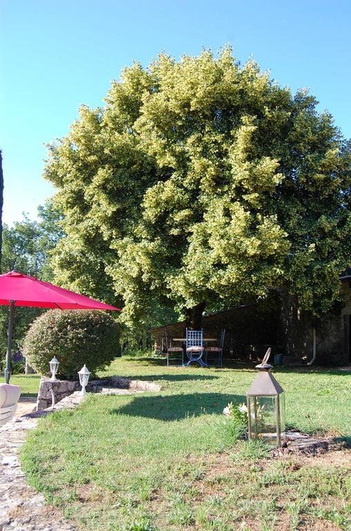 Outdoor Pictures 10