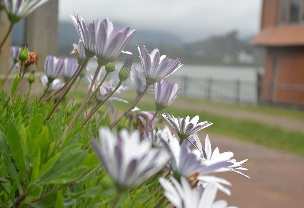 Outdoor Pictures 21