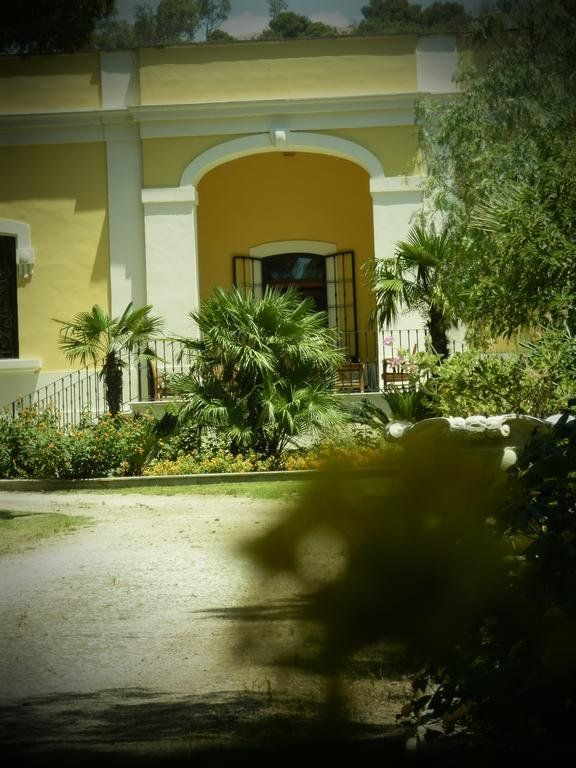 Outdoor Pictures 1
