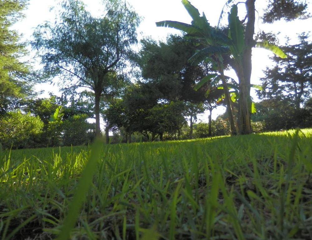 Outdoor Pictures 6