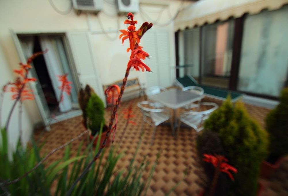 Outdoor Pictures 22