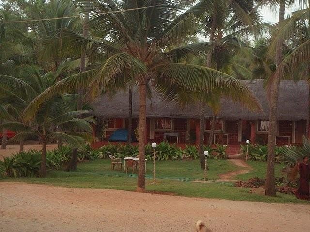 Outdoor Pictures 10