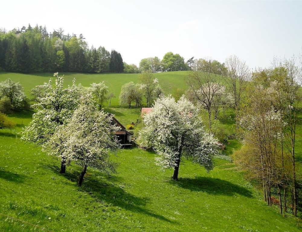 Outdoor Pictures 7