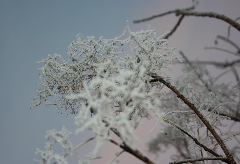 Outdoor Pictures 22