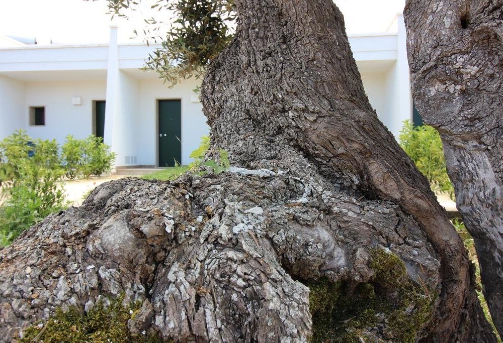 Outdoor Pictures 12