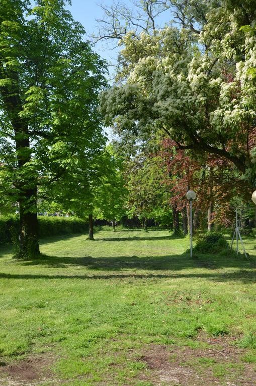 Outdoor Pictures 10
