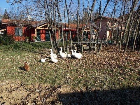 Outdoor Pictures 22