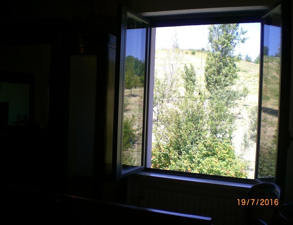 Outdoor Pictures 11