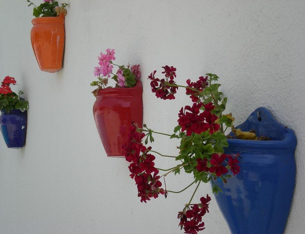 Outdoor Pictures 7