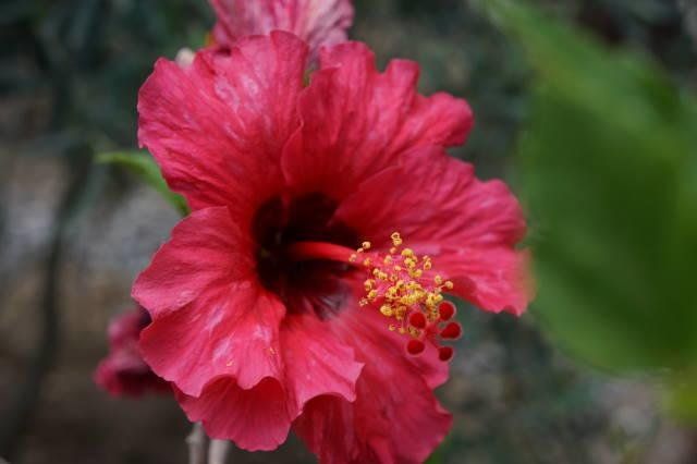Outdoor Pictures 6