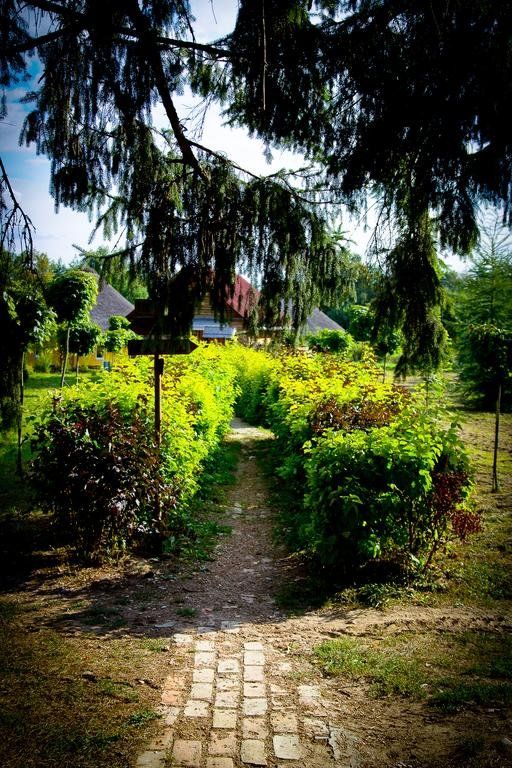Outdoor Pictures 19