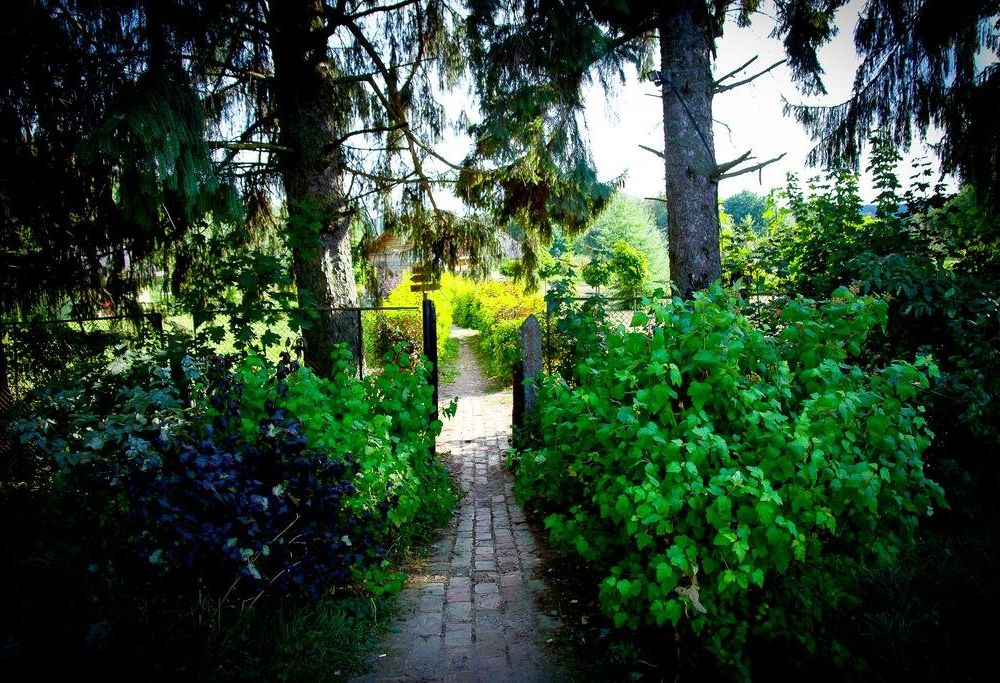 Outdoor Pictures 21