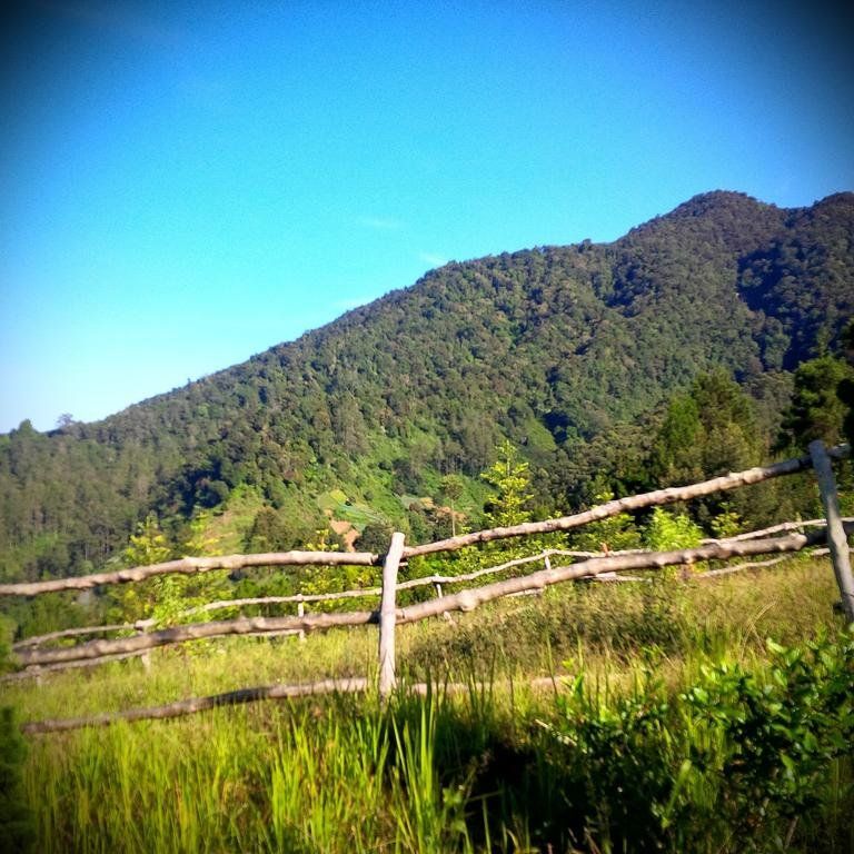 Outdoor Pictures 16