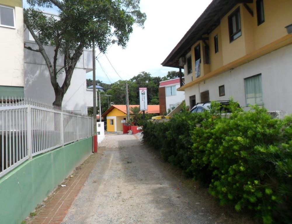 Outdoor Pictures 1