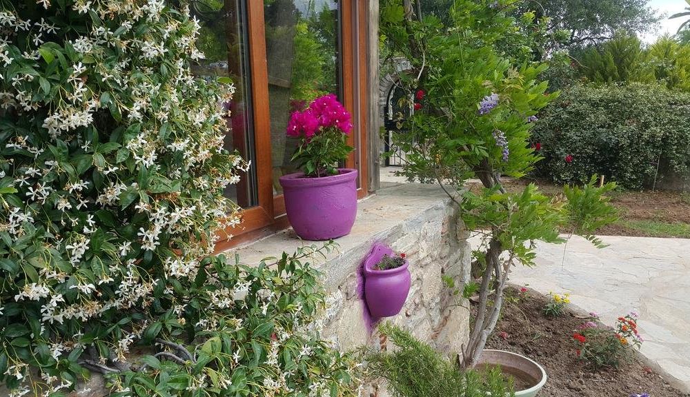 Outdoor Pictures 18