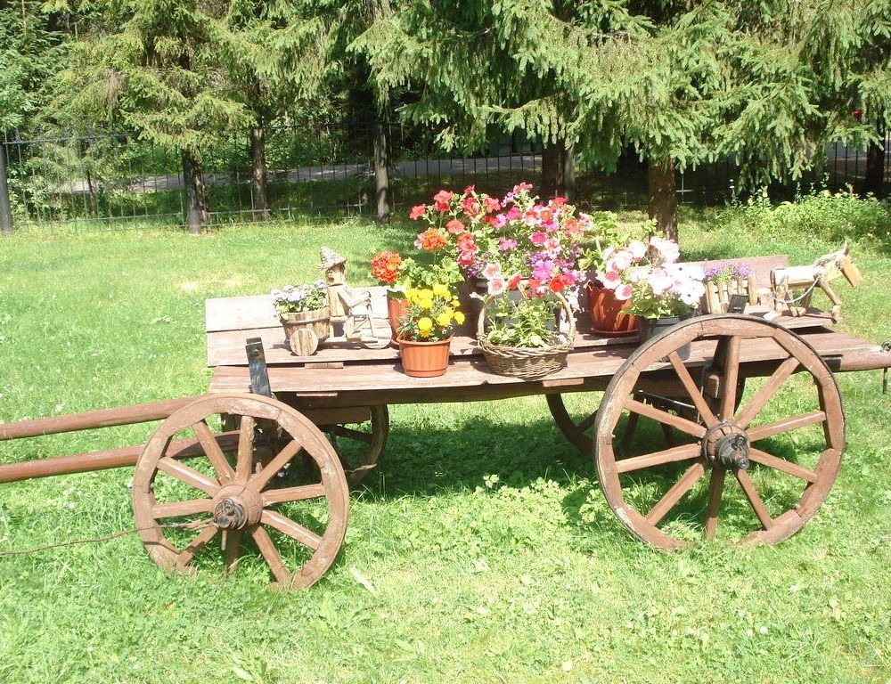 Outdoor Pictures 19