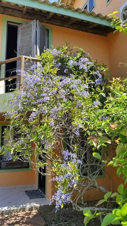 Outdoor Pictures 23