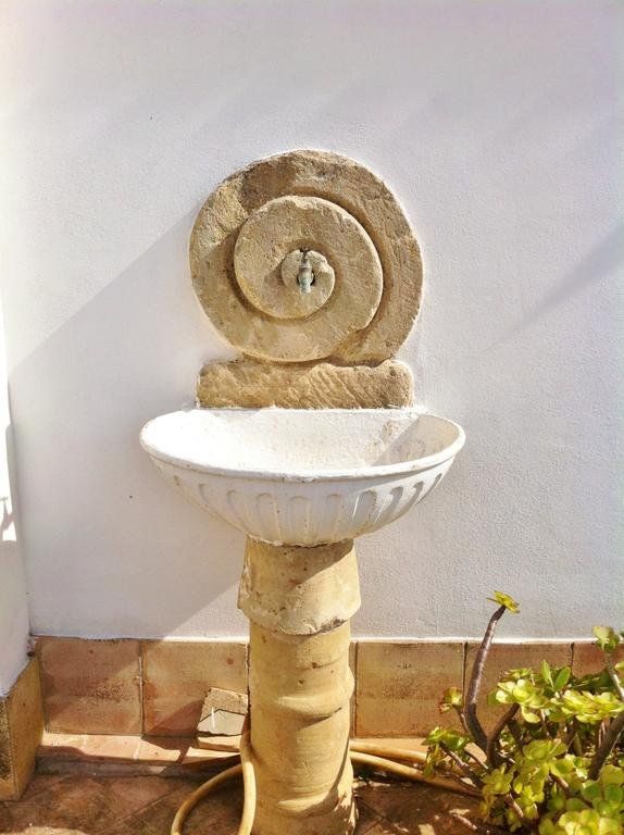 Outdoor Pictures 10