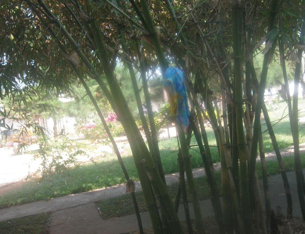 Outdoor Pictures 2