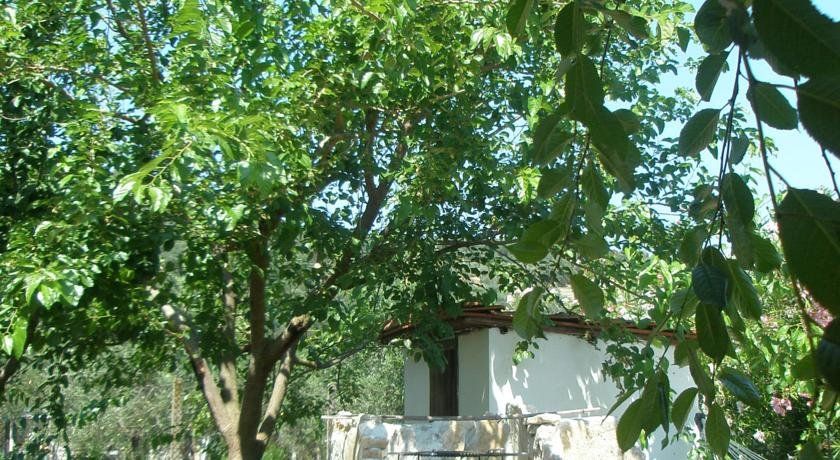 Outdoor Pictures 1