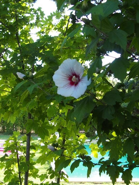 Outdoor Pictures 8