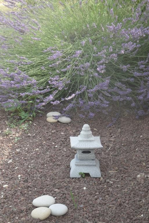 Outdoor Pictures 7