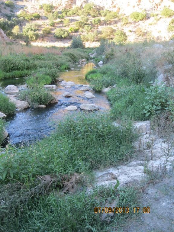 Outdoor Pictures 21