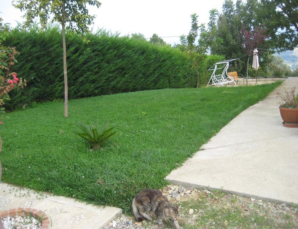 Outdoor Pictures 11