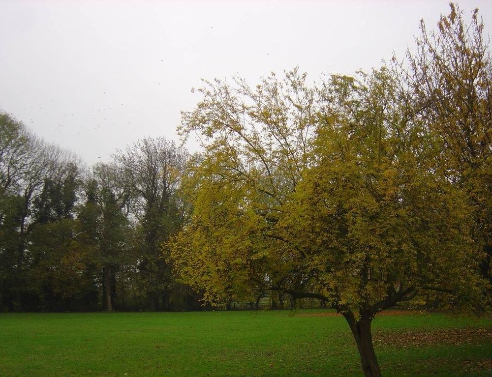 Outdoor Pictures 9
