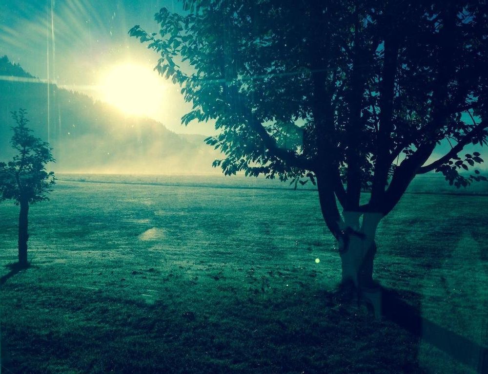 Outdoor Pictures 15