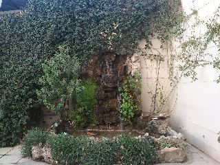 Outdoor Pictures 24