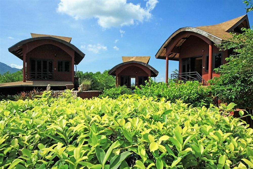 Outdoor Pictures 1
