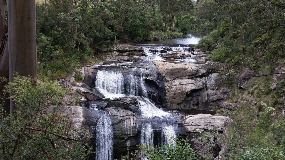 Outdoor Pictures 19