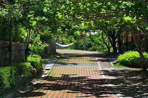 Outdoor Pictures 21