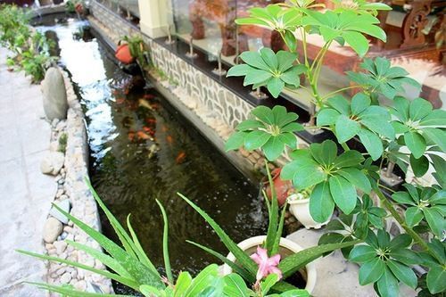 Outdoor Pictures 19