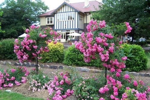 Outdoor Pictures 20