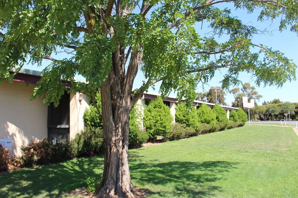 Outdoor Pictures 1