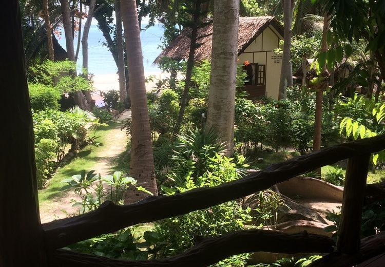 Smile Bungalow Bottle Beach
