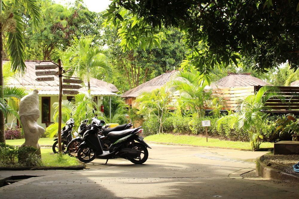 Outdoor Pictures 1