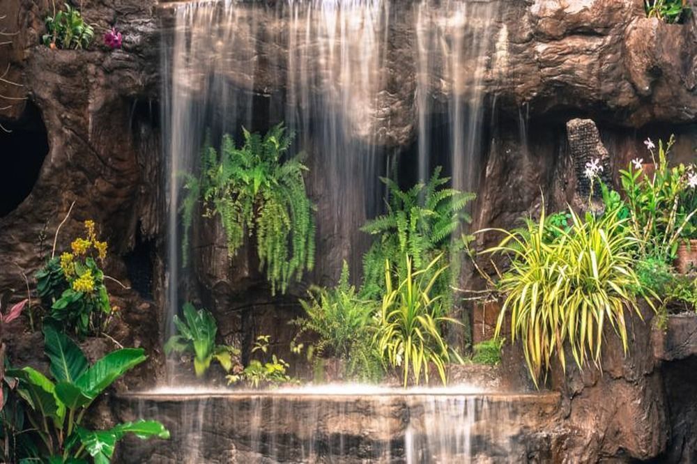 Outdoor Pictures 21