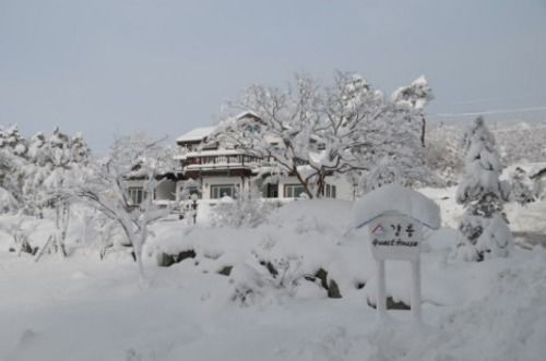 GN Guesthouse - Hostel