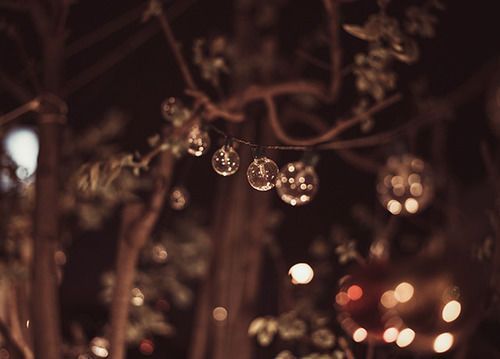 Outdoor Pictures 6