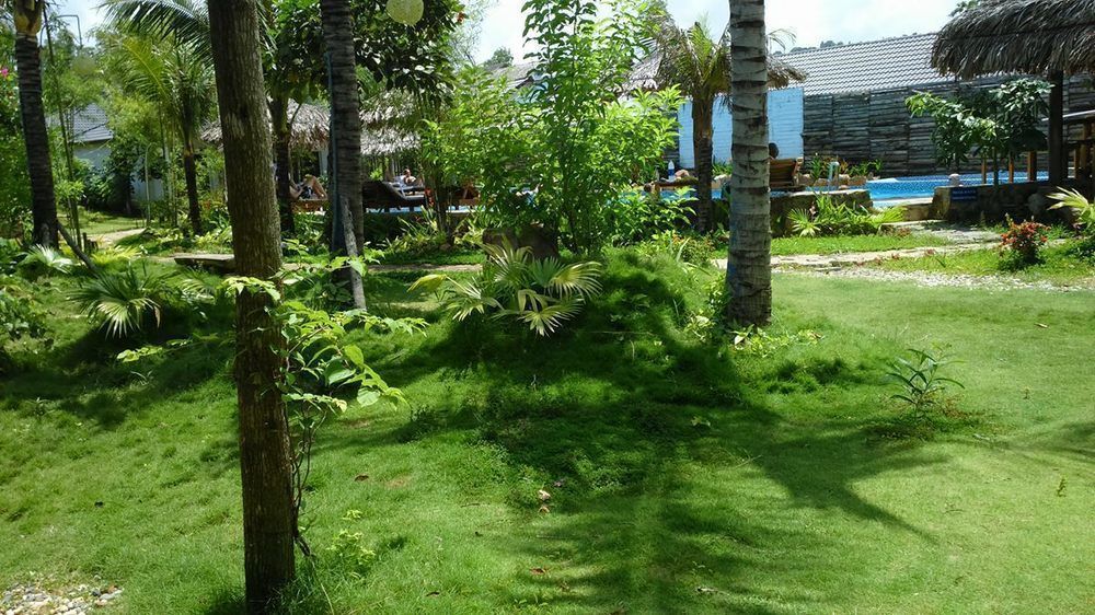Outdoor Pictures 19